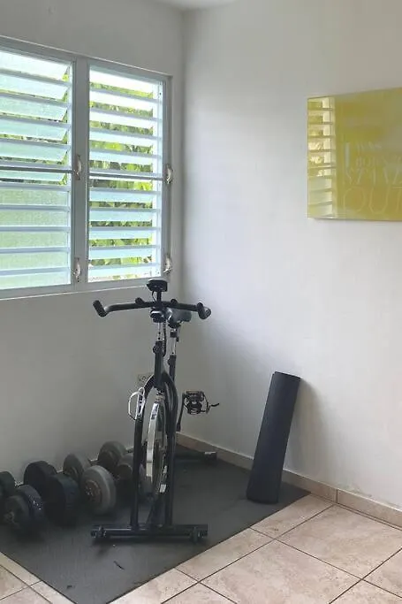 Villa Del Carmen Family Vacation Home Isabela Porto Riko