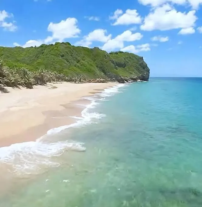 Villa Del Carmen Family Vacation Home Isabela Porto Riko